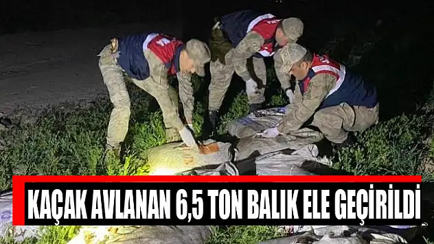 Kaçak avlanan 6,5 ton balık ele geçirildi