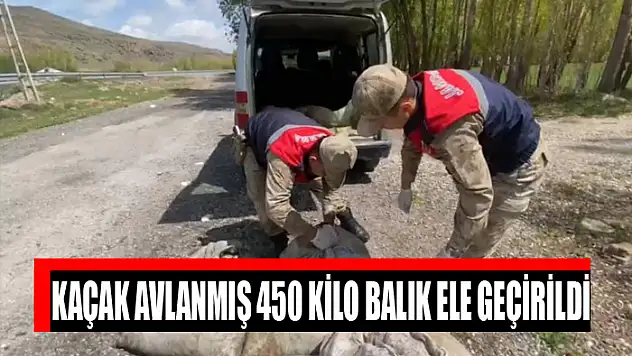 Kaçak avlanmış 450 kilo balık ele geçirildi