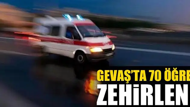 Gevaş'ta 70 öğrenci zehirlendi
