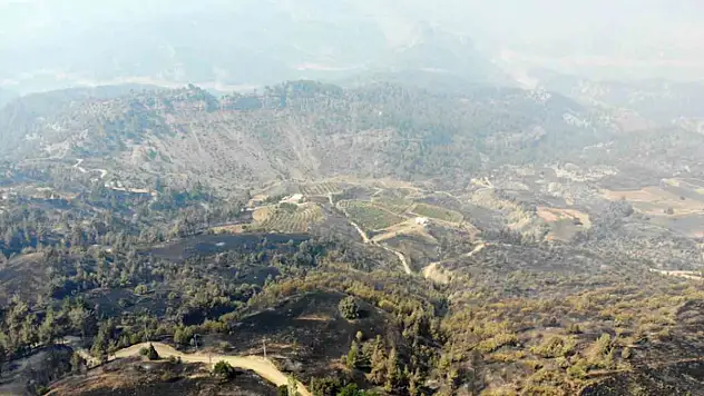 Kahramanmaraş'ta orman yangınına müdahale 3'üncü gününde de sürüyor