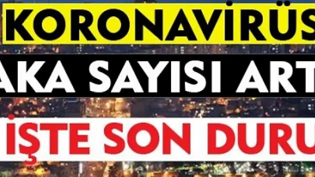 Van Valiliği son rakamları açıkladı