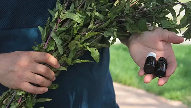 Kaldırımda bile yetişiyor! 35 bin liraya alıcısı var