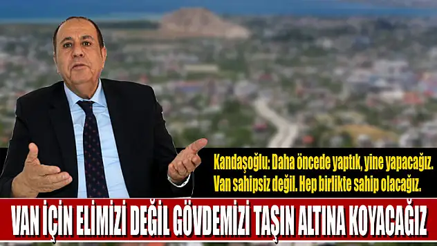 Kandaşoğlu: Van için elimizi değil gövdemizi taşın altına koyacağız