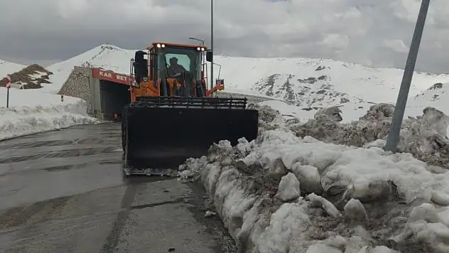 Kar kaplanları Nisan ayında da görevinin başında