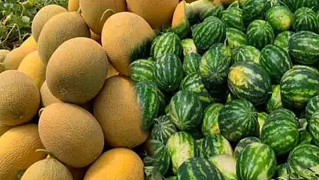 Kavun ve karpuz fiyatları düştü: Vatandaş bir nebze rahatladı