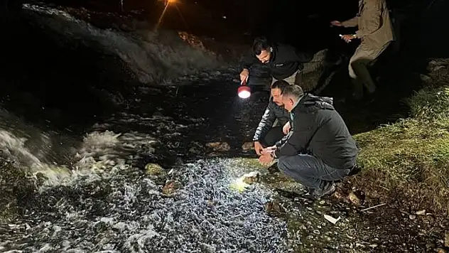 Kaymakam Aydoğan: Van Gölü'nün incisine sahip çıkalım