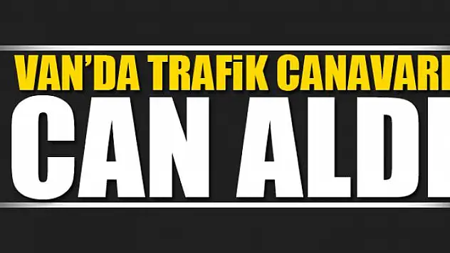 Van'da trafik canavarı can aldı