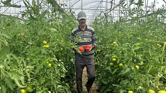 Kılıç: Ürünün yüzde 45'i vatandaşın eline ulaşamadan israf oluyor