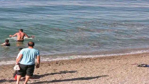 VAN GÖLÜ'NDE KİRLİLİK HAD SAFHADA