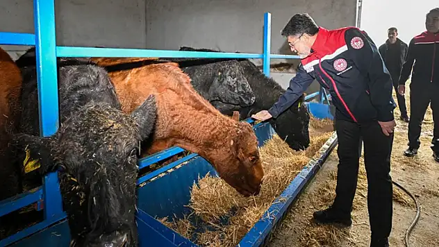 Kırsalda Bereket Hayvancılığa Destek Projesi, 2028 yılına kadar sürecek