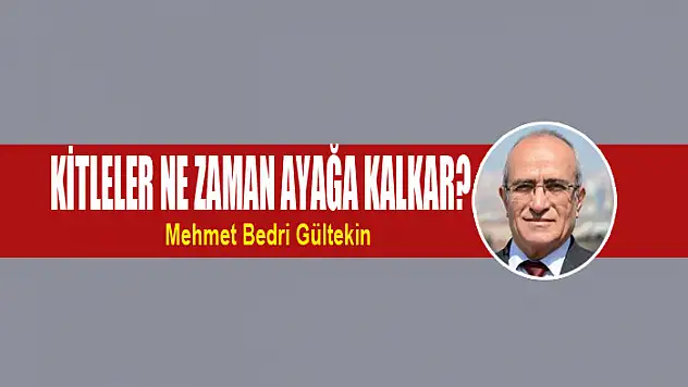 Kitleler ne zaman ayağa kalkar?
