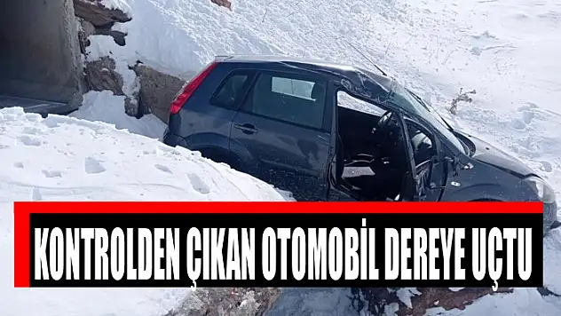 Kontrolden çıkan otomobil dereye uçtu