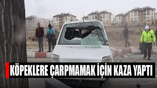 Köpeklere çarpmamak için kaza yaptı