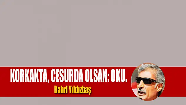 Korkakta, Cesurda Olsan: Oku.