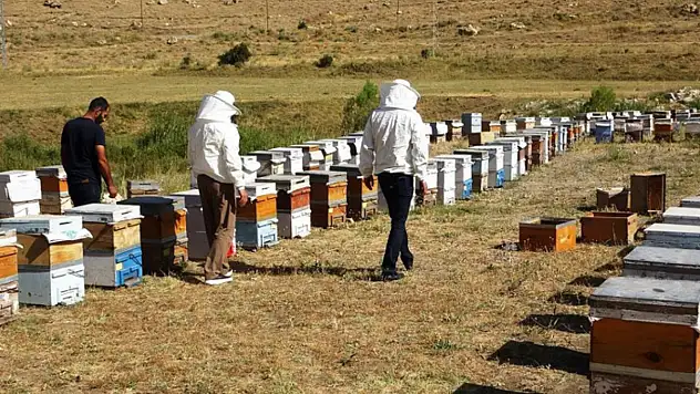 Küresel ısınma arıcıları tedirgin ediyor