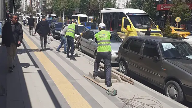 Kuruyan ağaçların yerine yeni fidanlar dikiliyor