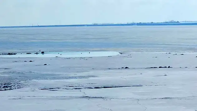 Kuş cenneti Arin Gölü kısmen dondu