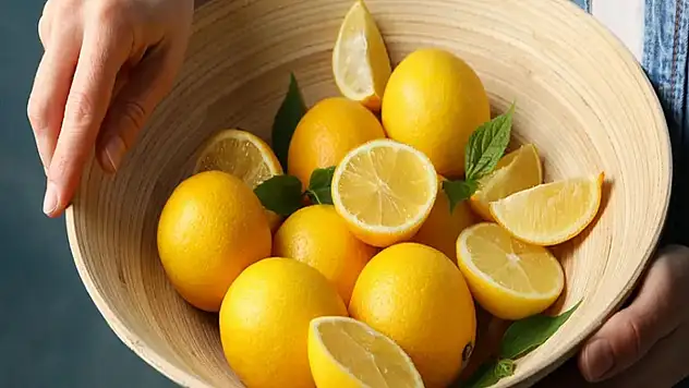 Limon ihracatı geçici olarak durduruldu