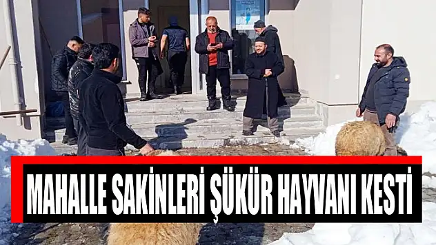 Mahalle sakinleri şükür hayvanı kesti