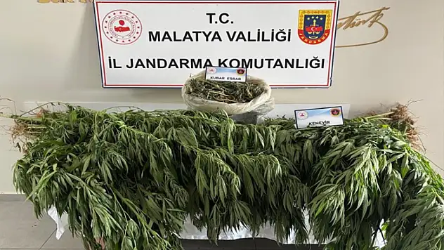 Malatya'da jandarmadan uyuşturucu operasyonu