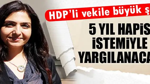 HDP milletvekili Ertan hakkında hapis istemi