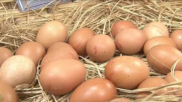 Mart ayında yıllık tavuk yumurtası üretimi yüzde 8,8 azaldı