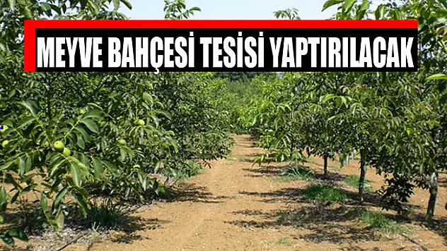 Meyve bahçesi tesisi yaptırılacak