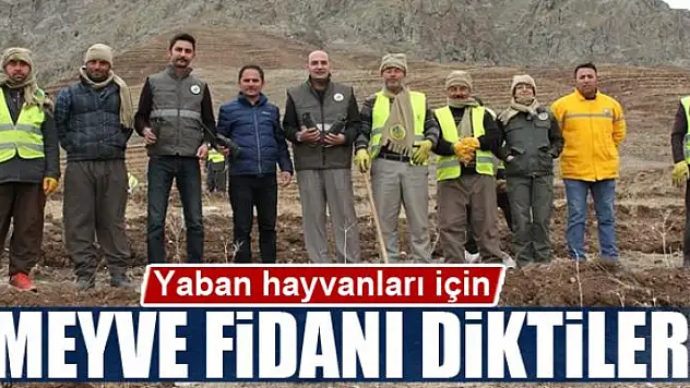 Yaban hayvanları için meyve fidanı diktiler 