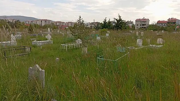 Mezarlıkların bakımlarının yapılması isteniyor