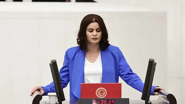 Milletvekili Kaçmaz Sayyiğit engellilerin sorunlarını Meclis'e taşıdı