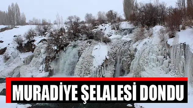Muradiye Şelalesi dondu