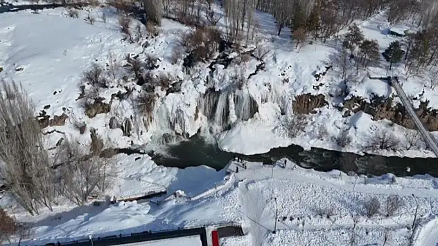 Muradiye Şelalesi kış masalına dönüştü