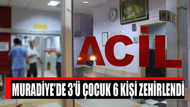 Muradiye'de 3'ü çocuk 6 kişi zehirlendi