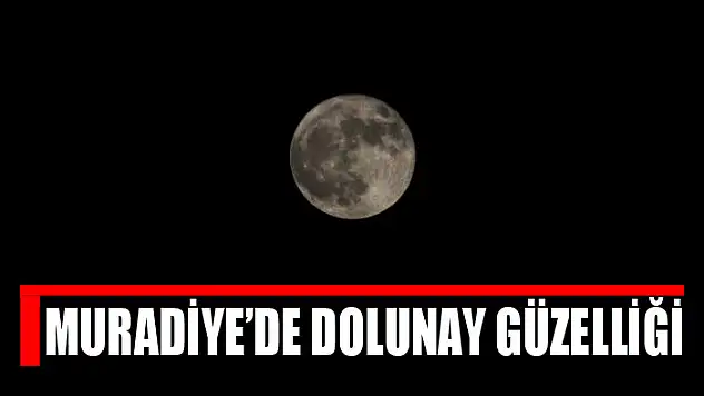 Muradiye'de dolunay güzelliği