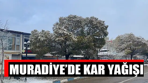 Muradiye'de kar yağışı