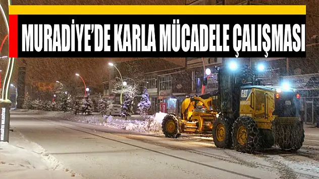 Muradiye'de karla mücadele çalışması