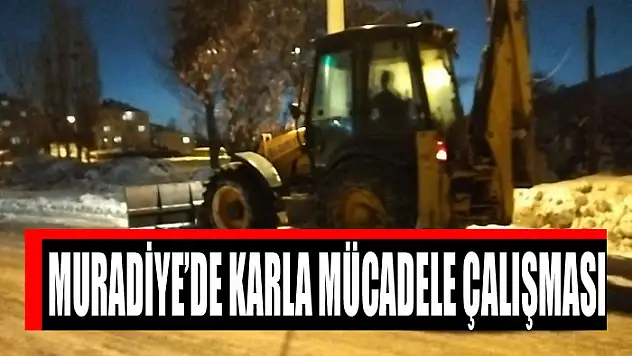 Muradiye'de karla mücadele çalışması