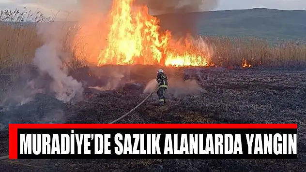 Muradiye'de sazlık alanlarda yangın
