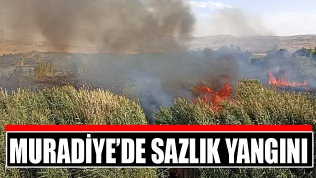 Muradiye'de sazlık yangını