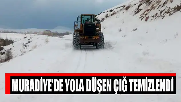 Muradiye'de yola düşen çığ temizlendi