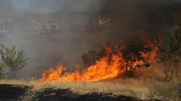Muş'ta örtü yangını