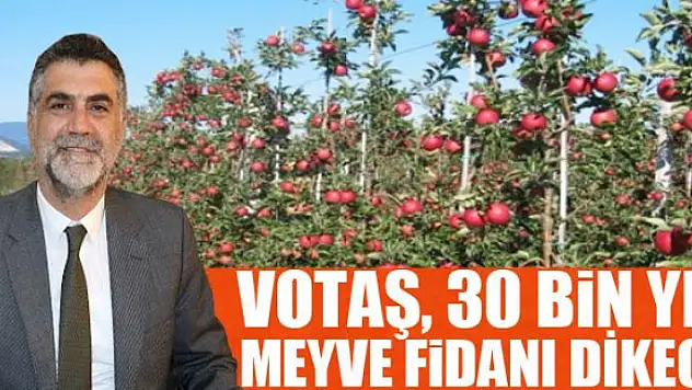 VOTAŞ, 30 bin yeni meyve fidanı dikecek