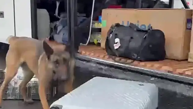 Narkotik madde arama köpeği HERA'dan kaçamadılar