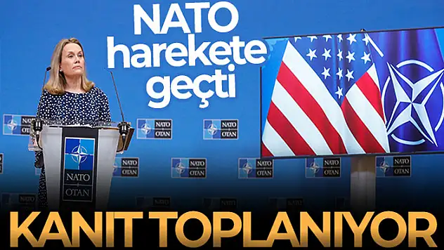 NATO, Rusya'nın Ukrayna'daki 'savaş suçları' hakkında kanıt topluyor