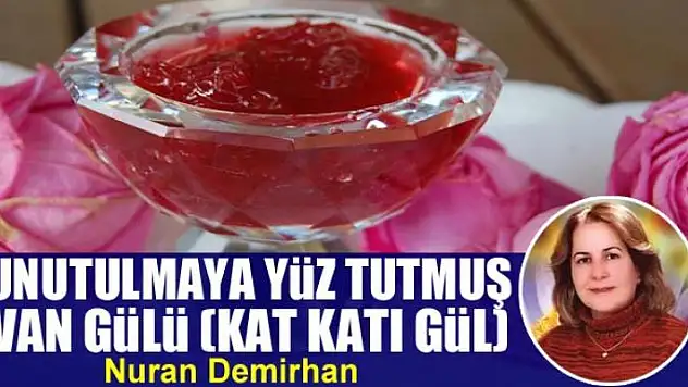 Unutulmaya yüz tutmuş Van Gülü (Katkatı Gül)