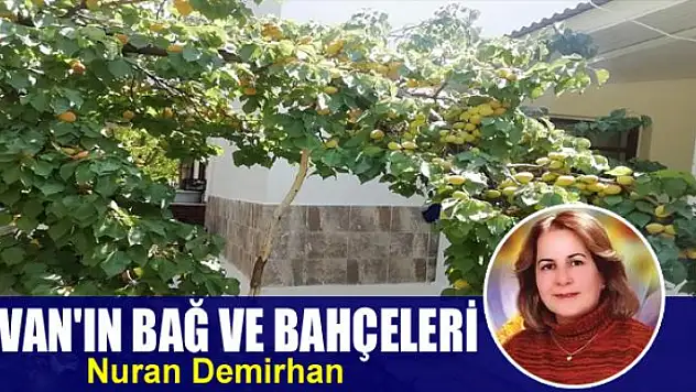 Van'ın bağ ve bahçeleri 