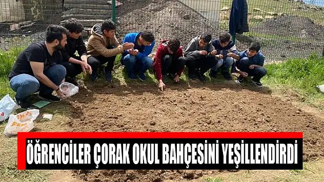 Öğrenciler çorak okul bahçesini yeşillendirdi