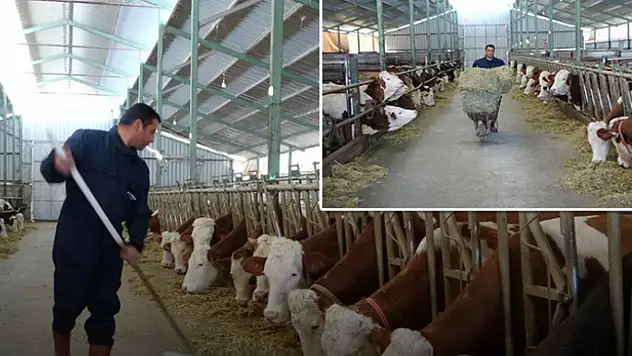 Öğretmenlik hayalini bıraktı çiftlik kurdu