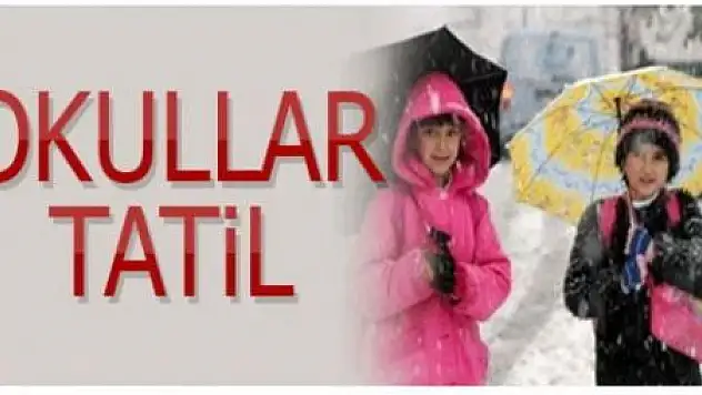 VAN'DA OKULLAR TATİL