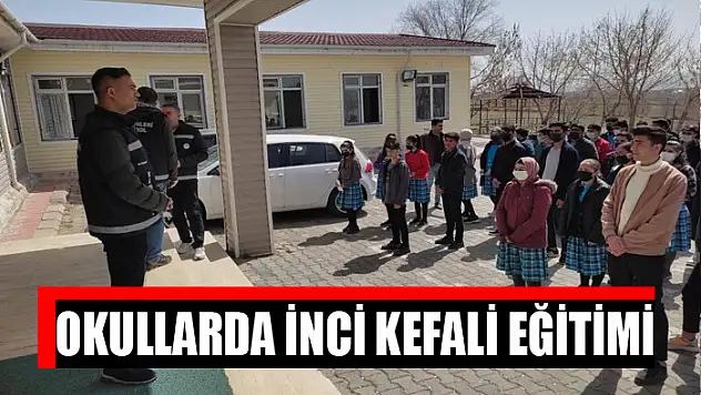 Okullarda inci kefali eğitimi